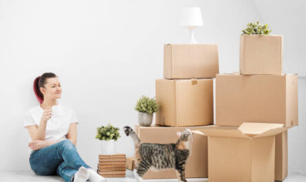 Umziehen in die neue Wohnung